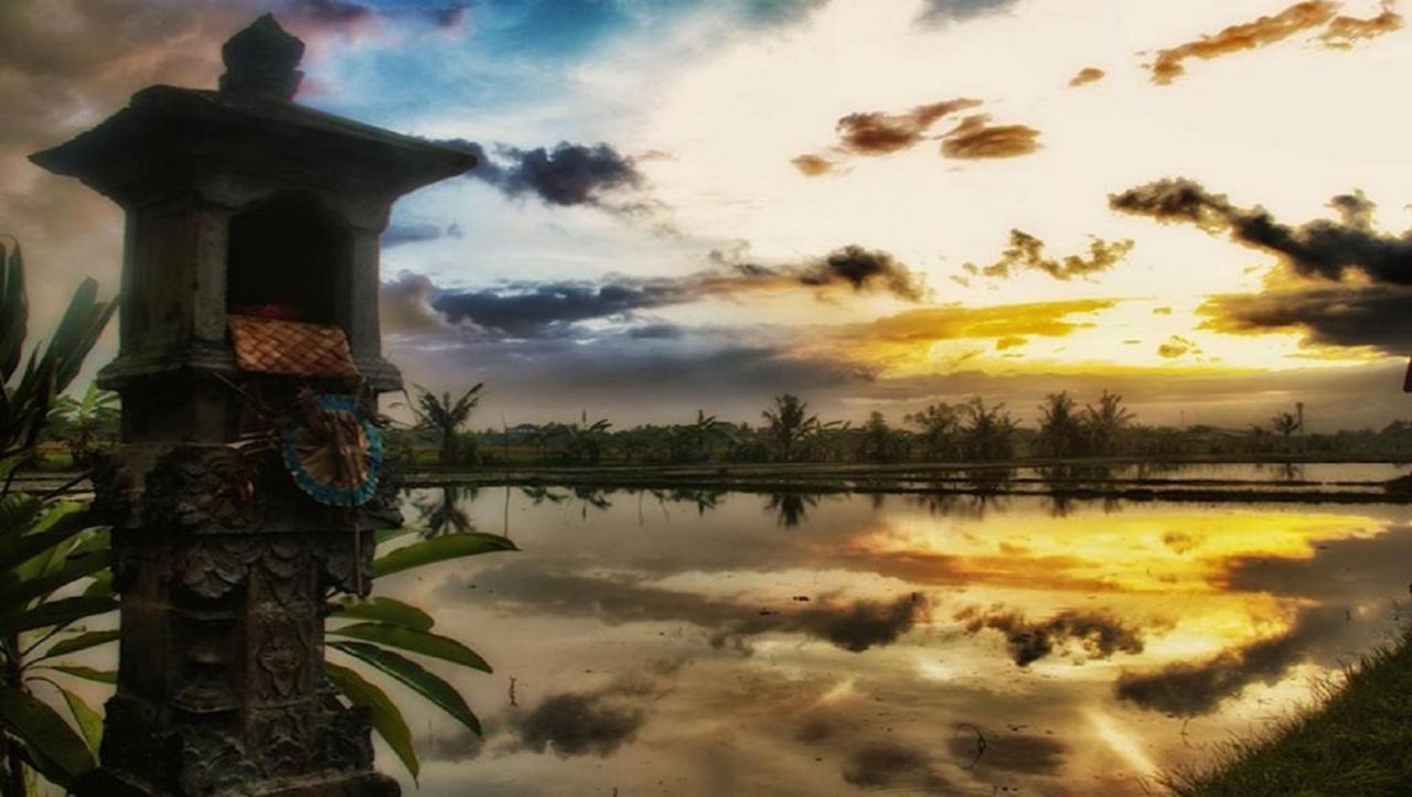 Pnb Bali Villas Canggu Εξωτερικό φωτογραφία